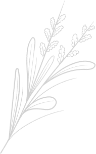 Nutribrille Luxopuncture Granville Header Motif